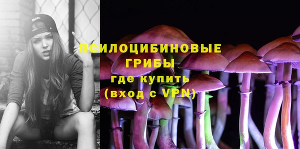 a pvp Аркадак