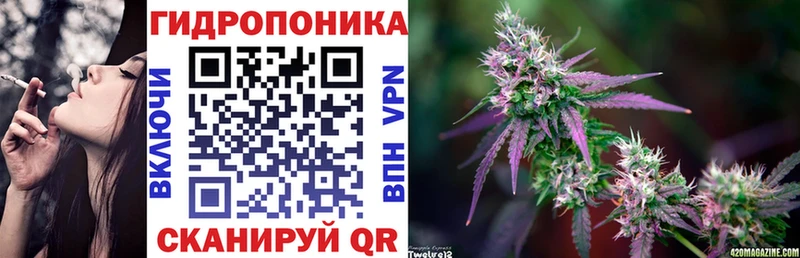 Конопля сатива  KRAKEN сайт  Сясьстрой 